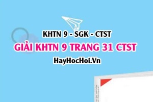Giải KHTN 9 trang 31 Chân trời sáng tạo SGK